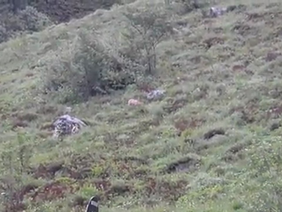 Sancy 19Juin 2011