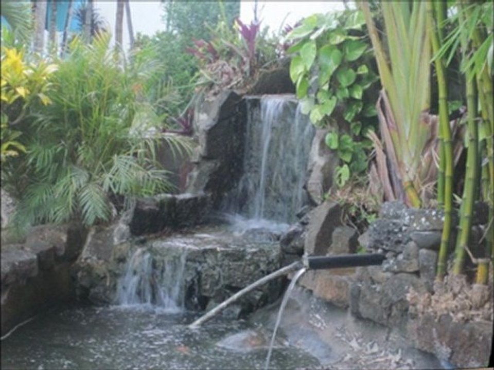 Carnet de Voyage Plongée à l'ïle Maurice