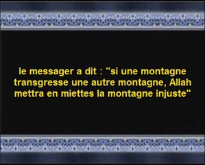 Sheikh Kishk "Notre division"