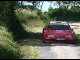 Rallyes du Forez 2011