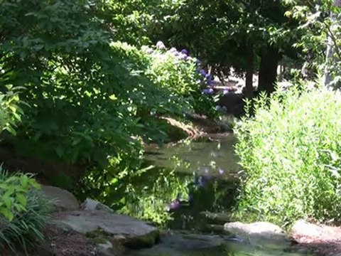 Collective Meditation: An Experiment.