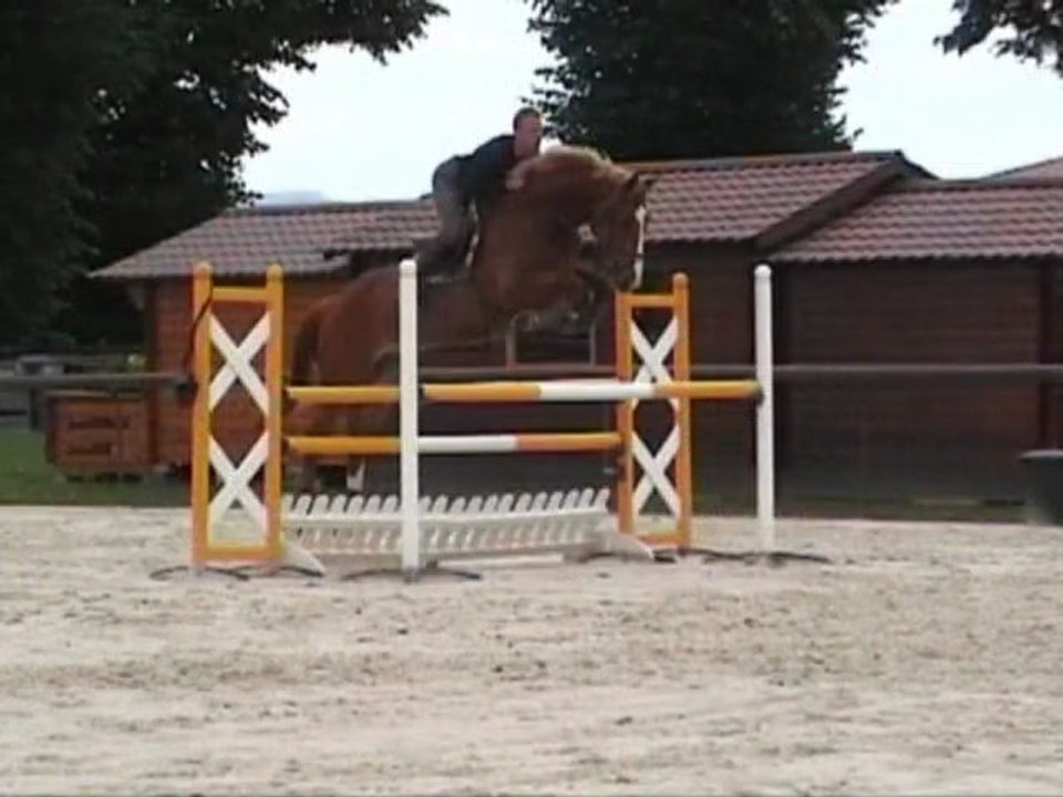 Flink Fopje entrainement CSO 19 juin 2011