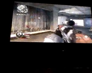 cod7 multi wii