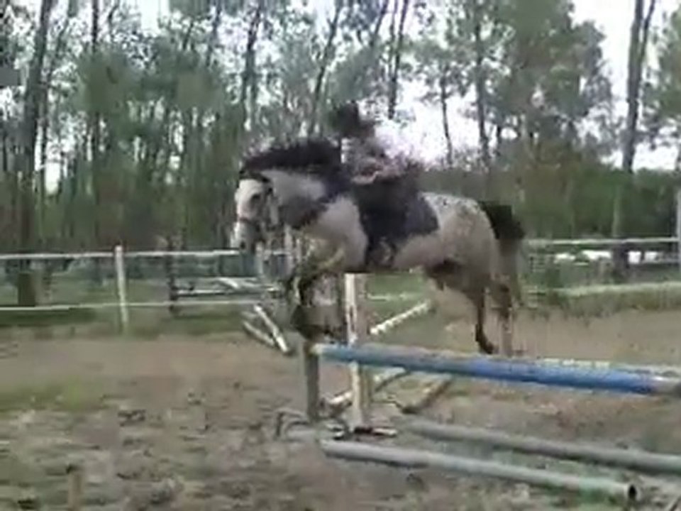 17 Juin 2011Tzigane saut