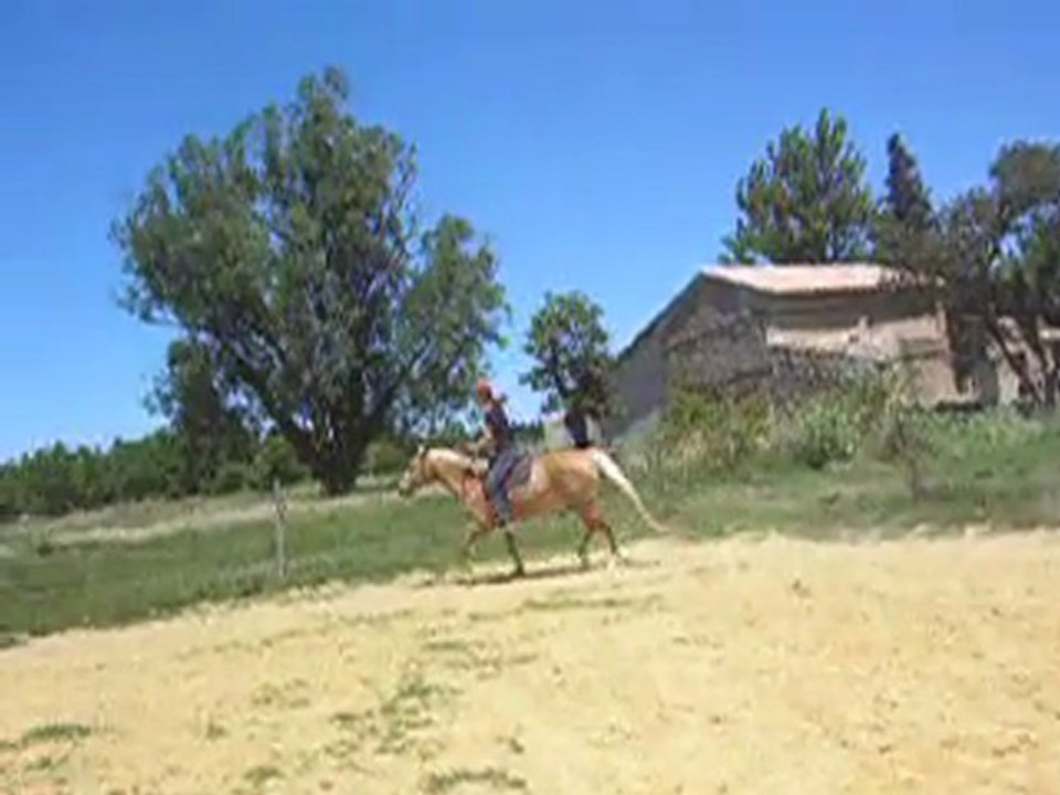 Tiz montée 19.06.11