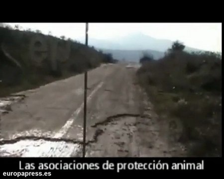 Nuevo caso de maltrato animal