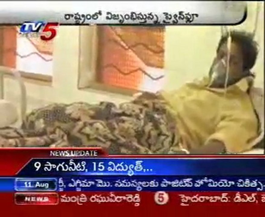 Symptoms and prevention of swine flu