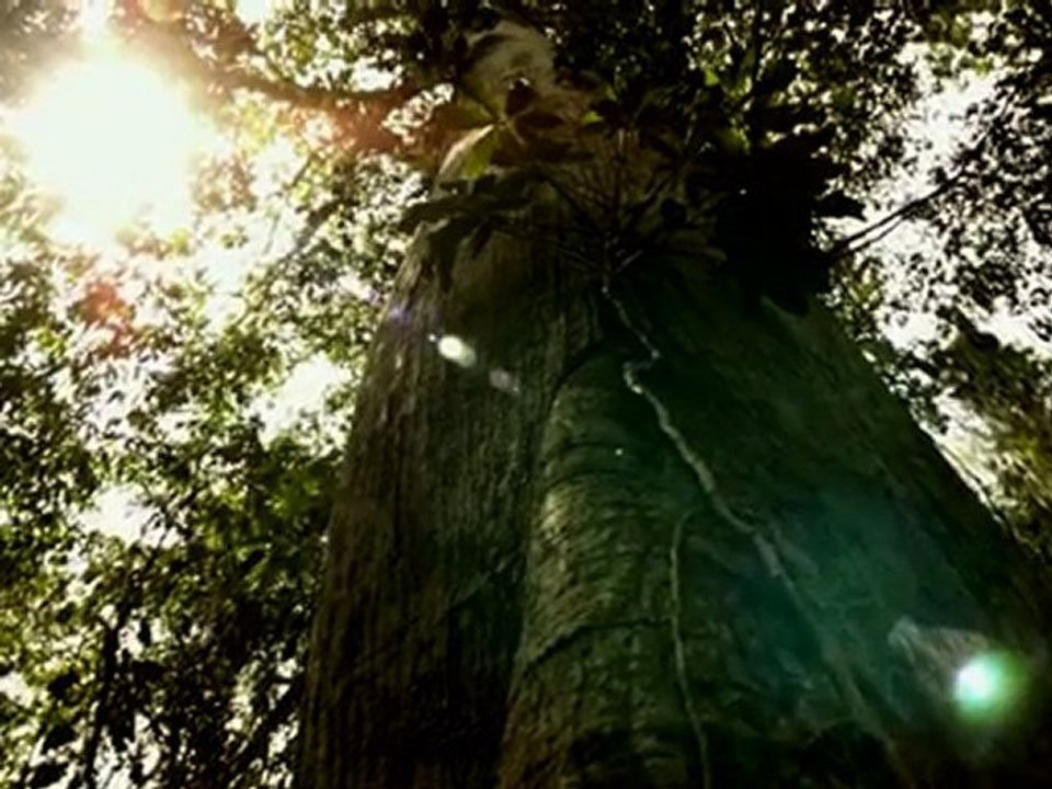 Palenka_MEXICOCLIP