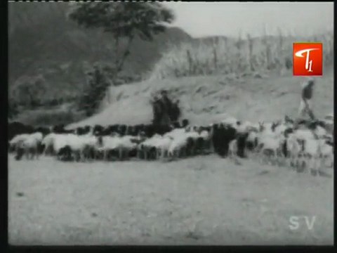 Super Hit Song of NTR Sr