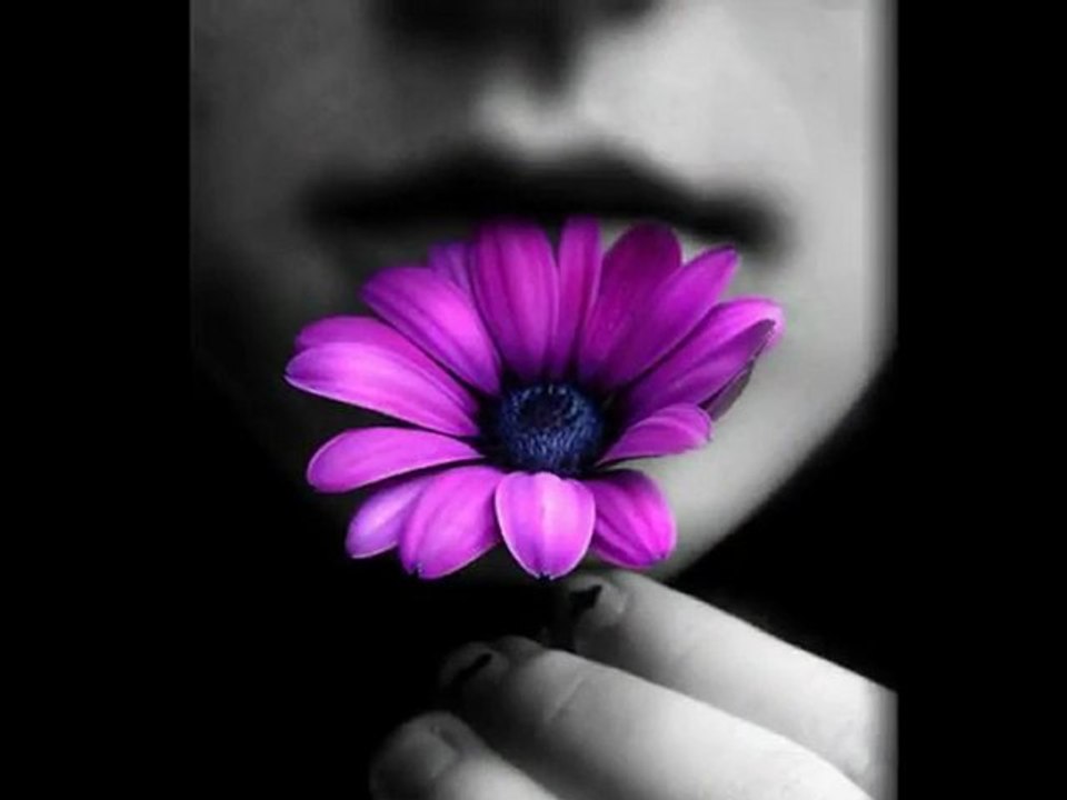 ESCLAVO Y AMO "Los Pasteles Verdes" ¸.•*¨*• ♪♫