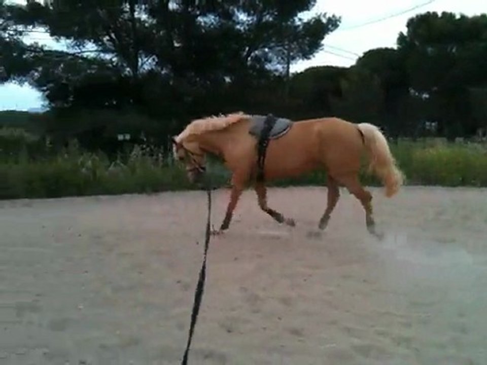 longe deuxieme jour