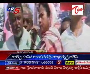 Maoist mediator role - Mamata mum