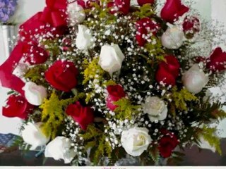 FEHÉR GALAMB SZÁL A FALU FELETT