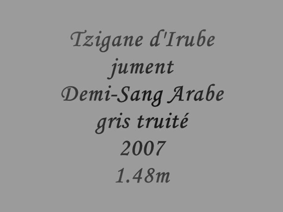 Tzigane d'Irube