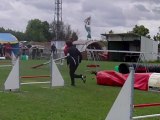 E'Lia des grandes aubes, épagneul breton, concours d'agility dieuze le 19 juin 2011, 2ème degré