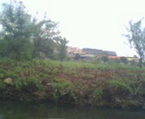 TAVŞAN ADASI'NIN EV SAHİPLERİ...