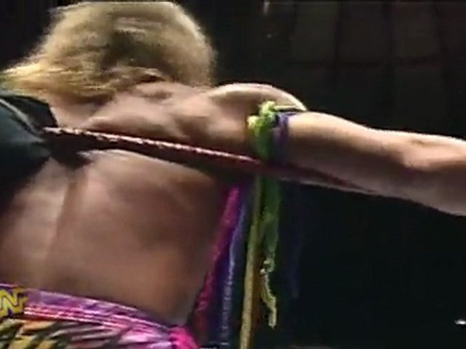 WWE CLASSICS; UNDERTAKER vs ULTIMATE WARRIOR 1991