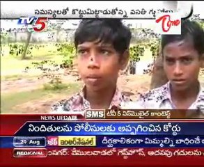 Kurnool District Latest News