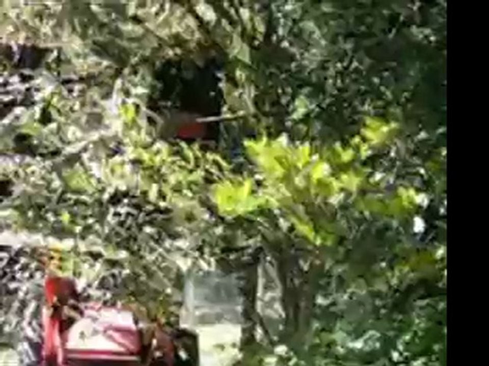 Trail Trimmer clip 2