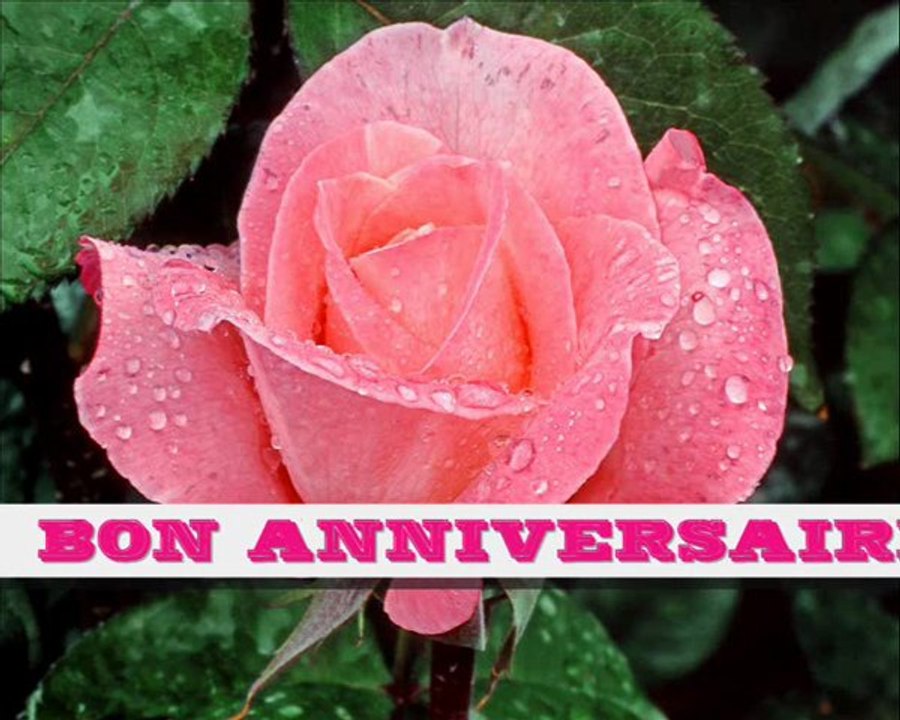 BON ANNIVERSAIRE ANNE