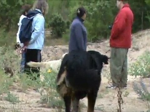 BTC la bergère 200611