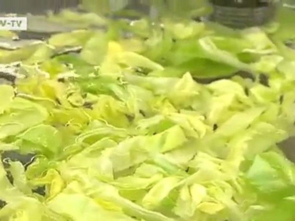 Solving the E. coli Crisis | Tomorrow Today