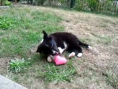 Ses premiers instants de jeu