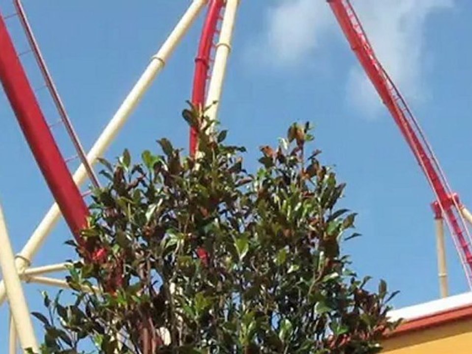 Hollywood Rip Ride Rockit Roller Coaster