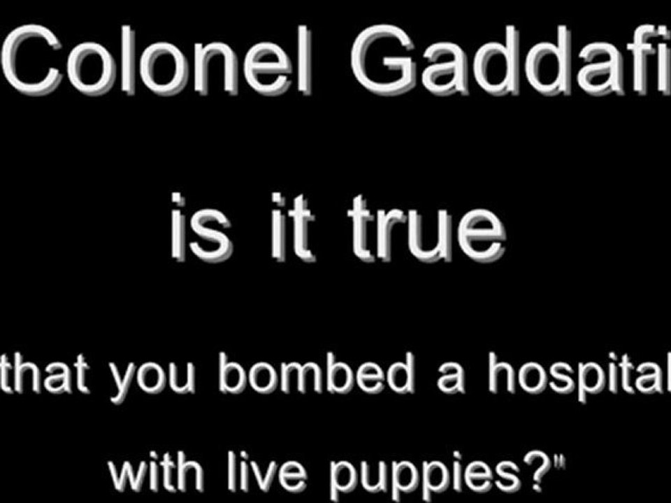 puppies 1