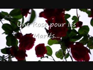 Mariage de Pauline et Thomas Le 18 Juin 2011