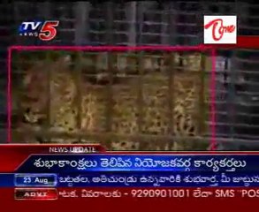 Tiger Problem Resolved in Tirumala 🐅 | Exclusive TV5 News Report