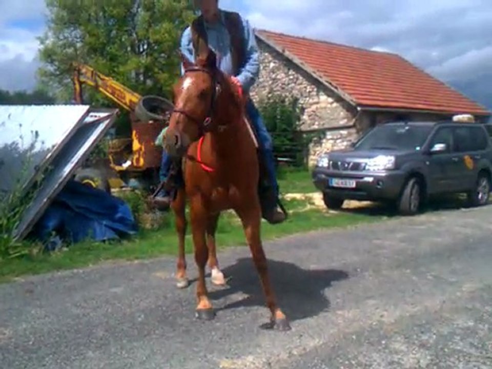 Reiner Leopan: Qu'est ce qu'il a?