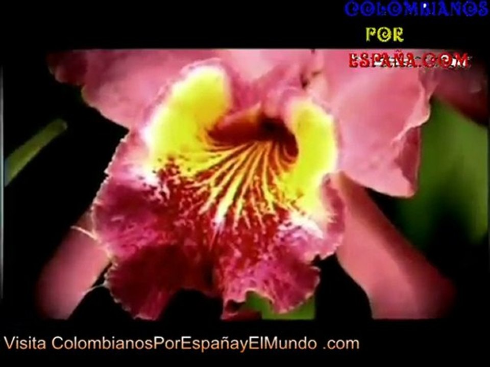 Colombia is passion