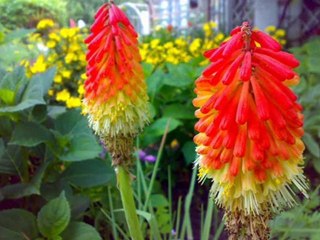 Daniel Loubscher - Believe In Me (Original Mix) [HQ]