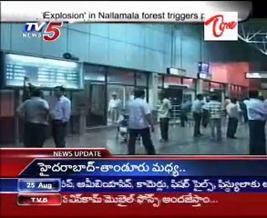 `Explosion' in Nallamala forest triggers panic