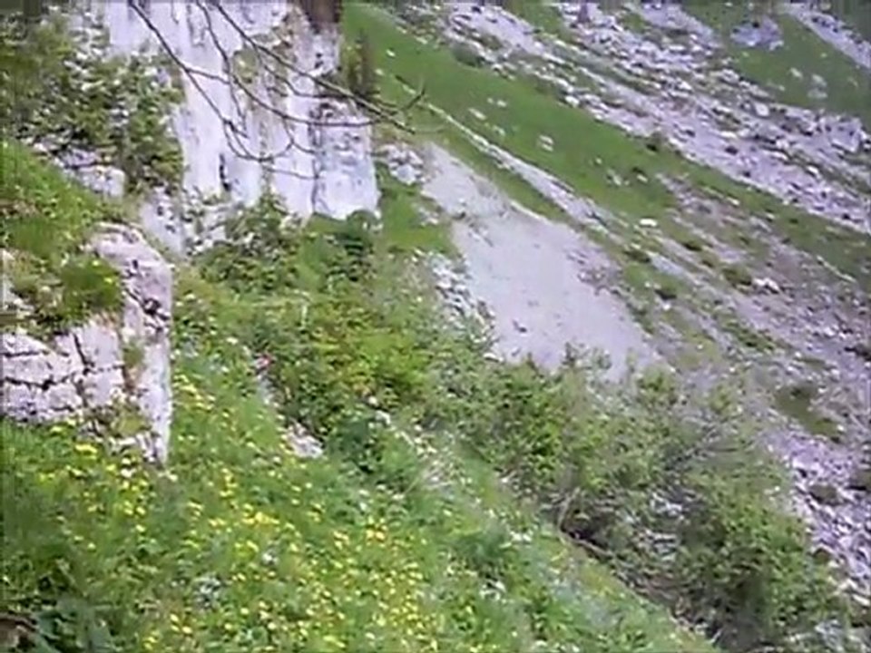 WE CLUB TULLINS EN SUISSE 2011