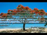 Bir Yilan Kadar Olamadim - Feyzullah Koc