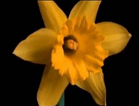 Sertab Erener - Şimdi Değişmeli Ne Varsa