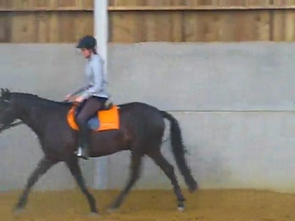 essai prestige