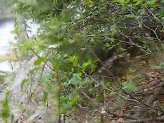 Great Minds Think Alike