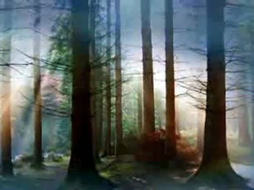 Bach : Suite pour Orchestre n°3 en RE Majeur, Sarabande BWV 1068