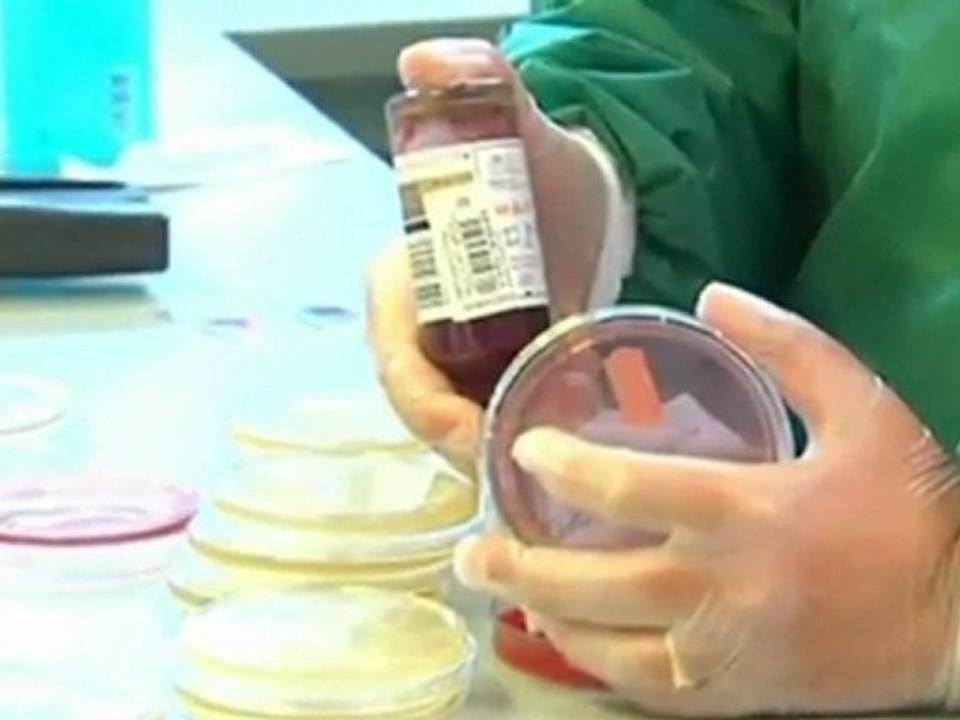 BUBONIC_SUPERBUG_THE_COMING_FALSE_FLAG