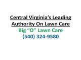 Lawn Charlottesville VA|How To Control Moss In Lawns