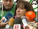 Funcionarios andaluces se manifestan en Sevilla