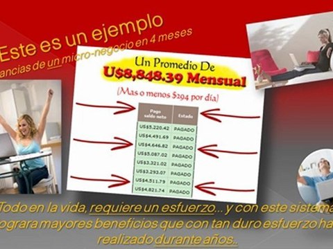 Negocios en Internet - micro nichos rentables