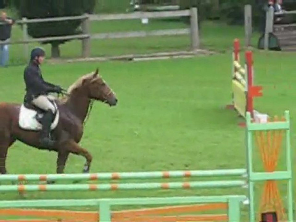 TYSON DEMUIN 2011 CSO SHF