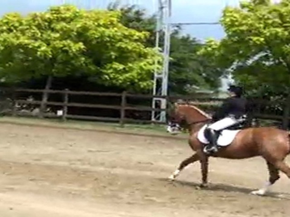 Jeneffe C2 L
