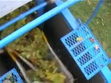 Machine Harvesting Wine Grapes
