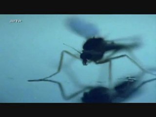 Afrique Extrême-Ep 06 Part 2/3 Au Fil De L'Eau