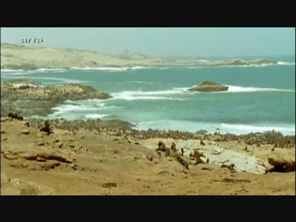 Afrique Extrême-Ep 04 Part 3/3 Entre Terre Et Mer